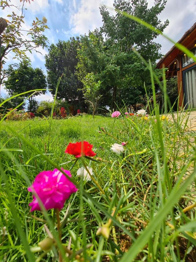 Byve Garden Villa Hanoi Exterior foto