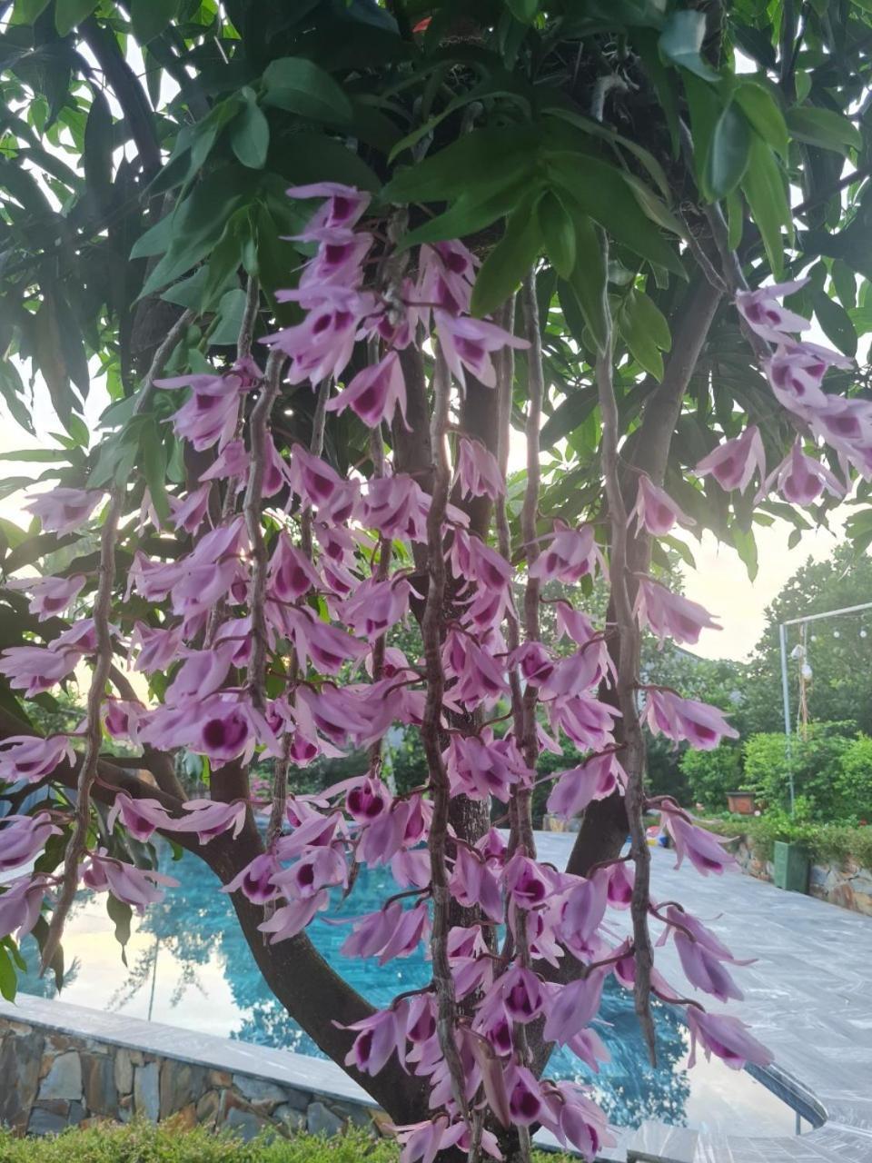 Byve Garden Villa Hanoi Exterior foto